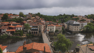 Traitement punaises de lit Limoges